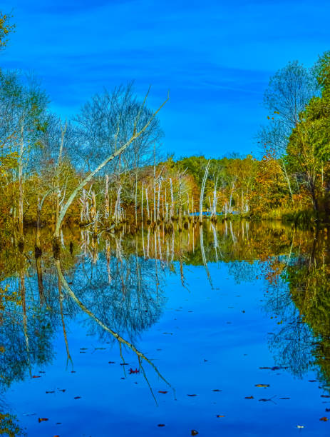istock reflection on autumn lake 1185882602
