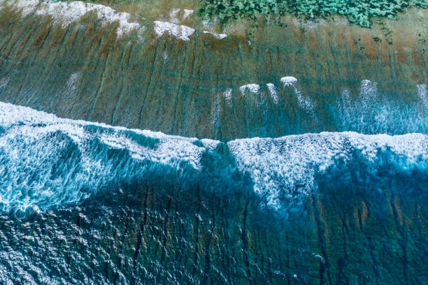 istock Big ocean waves hitting a coral rif. View from above. 1185884345