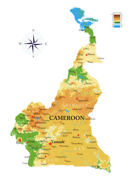 Cameroon physical map Highly detailed physical map of the Cameroon,in vector format,with all the relief forms,regions and big cities. cameroon stock illustrations