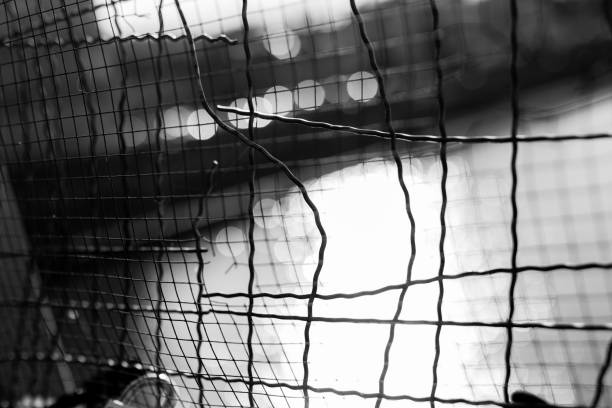 istock Metal fence in sunshine 1185889542