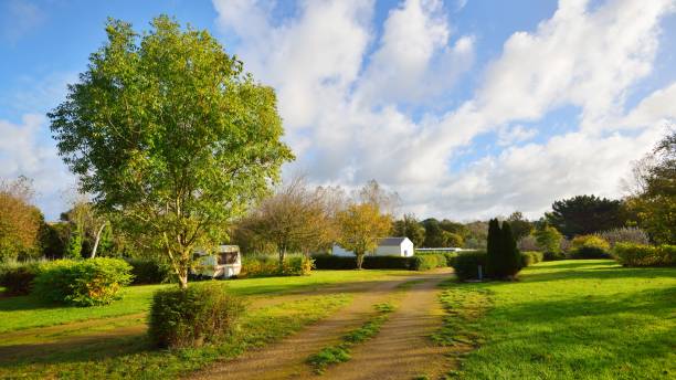 istock Peaceful green camping place with caravan trailer parked 1185894805