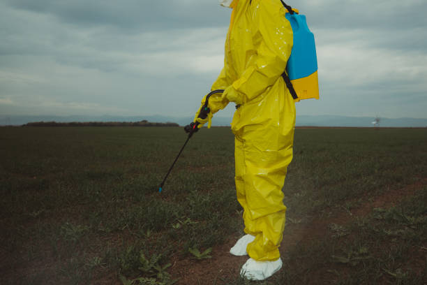 istock Worker spraying toxic pesticides 1185897478
