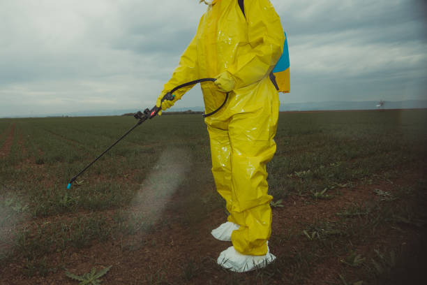 istock Worker spraying toxic pesticides 1185897797