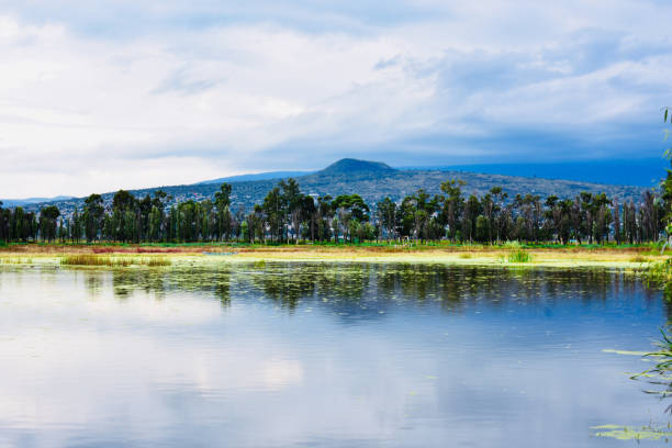 lake area in Xochimilco, view of the Teuhtli volcano