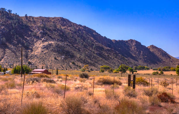 istock Farm in Isabella Lake. 1185898968