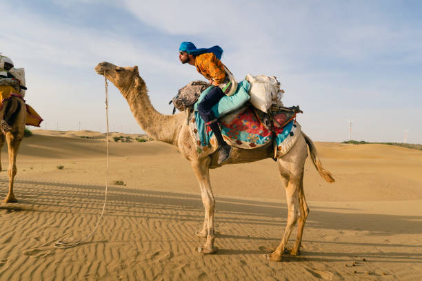 관광 승마 낙타! - desert men mid adult men looking at camera 뉴스 사진 이미지