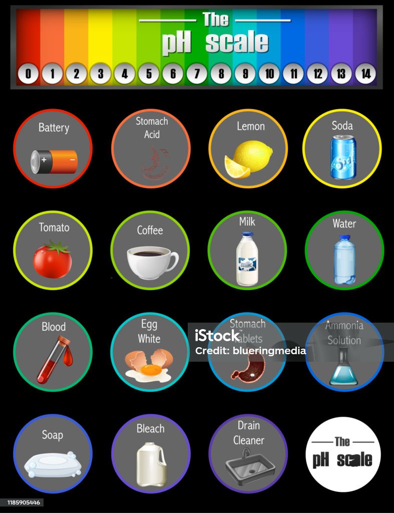 Ph Testing Numbers The Ph Scale With Numbers And Different Samples Stock Illustration ...