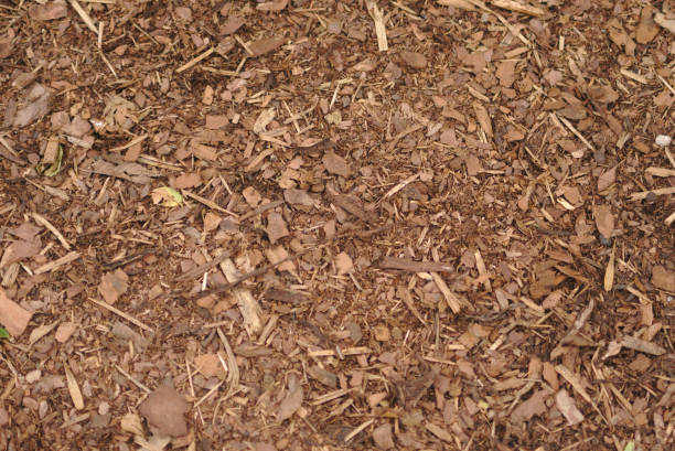 istock Pile of Brown Mulch 1185906603