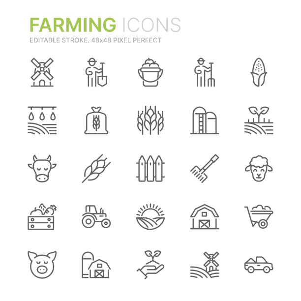 ilustraciones, imágenes clip art, dibujos animados e iconos de stock de colección de iconos de líneas relacionadas con la agricultura. 48x48 pixel perfecto. trazo editable - granja