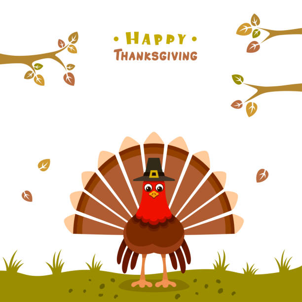 illustrazioni stock, clip art, cartoni animati e icone di tendenza di poster del ringraziamento. turchia con cappello pellegrino. - turkey thanksgiving farm meal