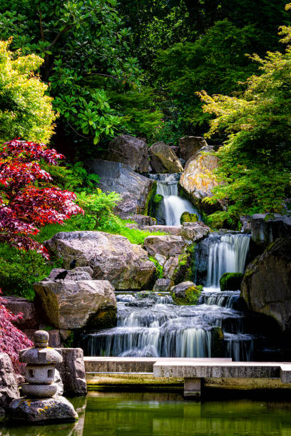 英国ロンドンのホランドパーク緑の緑の庭で京都日本の緑の庭でカエデの木と滝の長い露出垂直ビュー - maple leaf green outdoors ストックフォトと画像