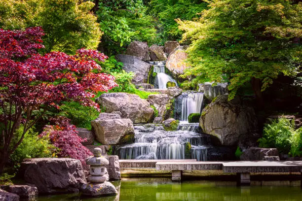 Photo of Waterfall long exposure with maple trees and bridge in Kyoto Japanese green Garden in Holland Park green summer zen lake pond water in London, UK