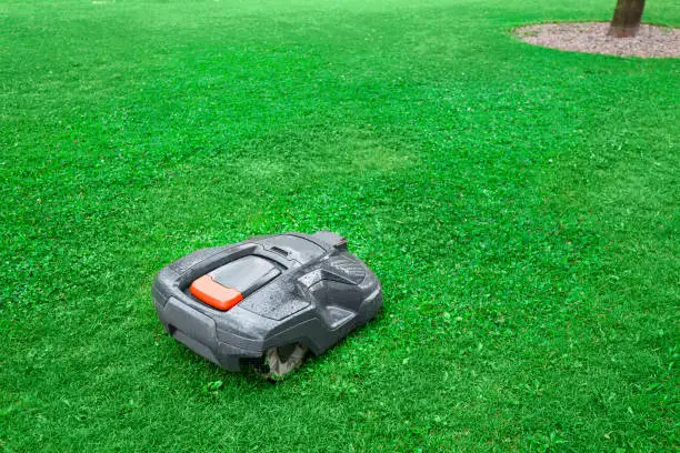 robot lawnmower running on the grass in the Park