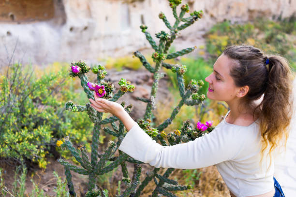 Young girl happy woman touching Cane Cholla cactus vivid pink flower on Main Loop trail in Bandelier National Monument in New Mexico in Los Alamos Young girl happy woman touching Cane Cholla cactus vivid pink flower on Main Loop trail in Bandelier National Monument in New Mexico in Los Alamos los alamos new mexico stock pictures, royalty-free photos & images