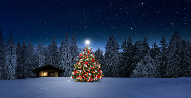 cabana de madeira acolhedora com árvore de natal - cabin photography europe tree - fotografias e filmes do acervo