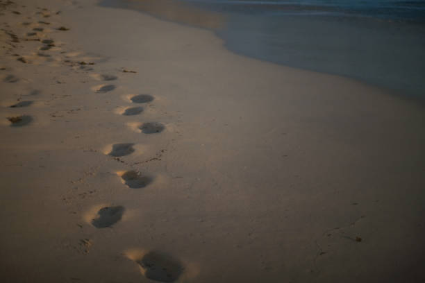 istock Footprints in the Sand along the Beach 1185915043