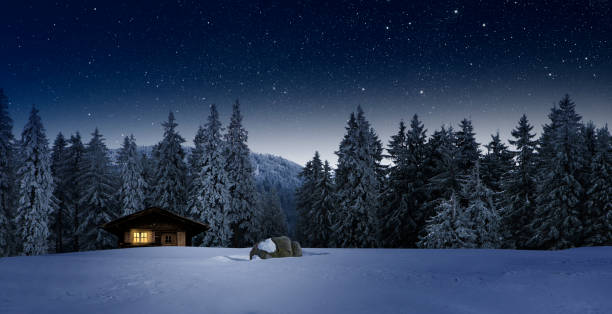blockhouse en la nieve - forest landscape pine tree snow fotografías e imágenes de stock
