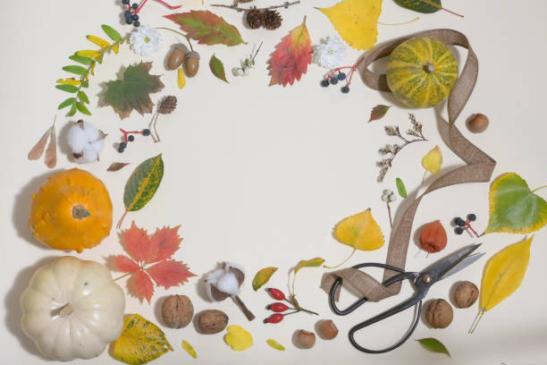 istock Autumn Colourful Leaves In Frame Isolated 1185919202