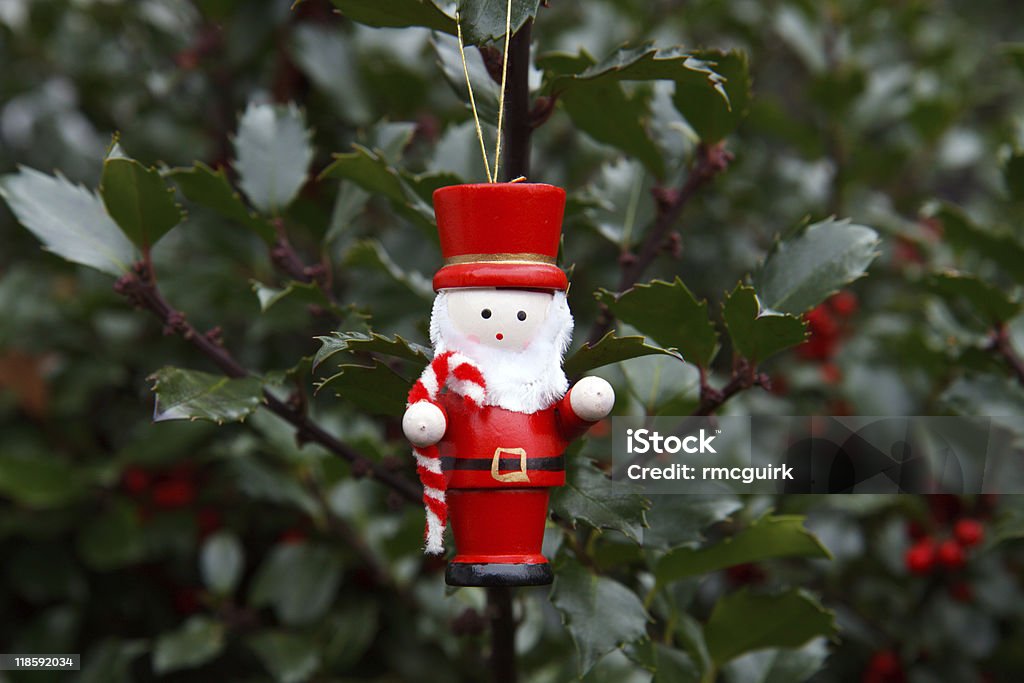 Santa Claus - Photo de Barbe libre de droits