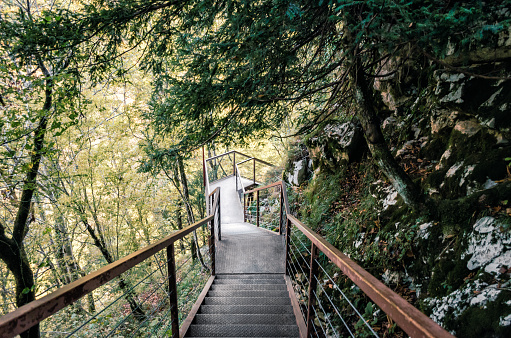 old metal stairs in a forest with green trees in a canyon in Georgia in autumn
