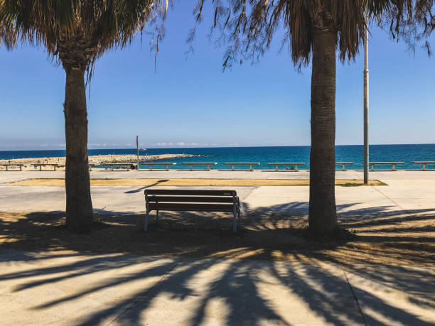 istock Wooden bench between two palm trees. 1185920814