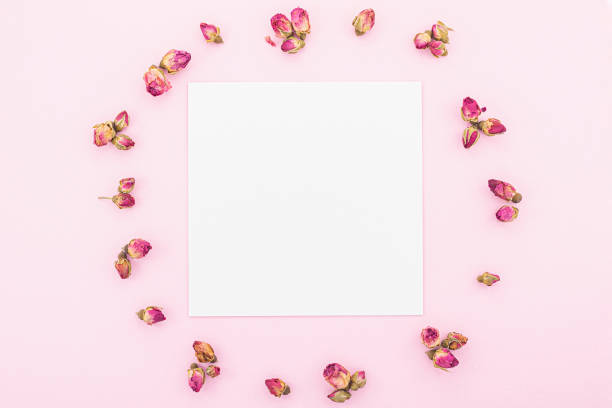 istock Card with rose buds on pink 1185922998