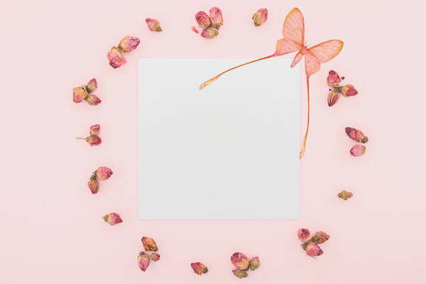 istock Message with dried rosebuds and pink silk moth 1185923005