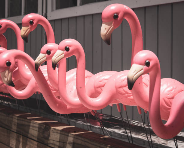istock pink lawn flamingos 1185928004