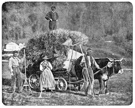 Farmers in rural Bern Canton, Switzerland. Vintage halftone photo circa late 19th century.