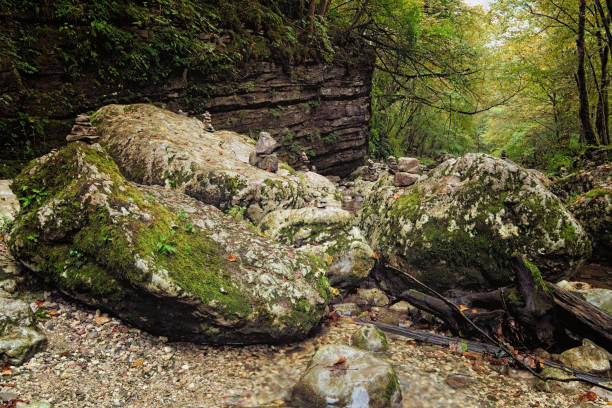 istock Mountain creek flowing between a forest between lush vegetation and stones covered by moss. Picturesque pathway to the Kozjak Waterfall (Slap Kozjak). National Park of Triglav, Soca valley, Slovenia 1185930370