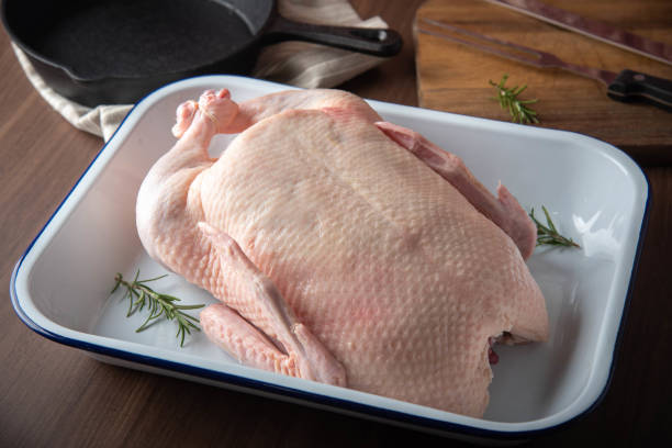 whole raw duck meat on white plate