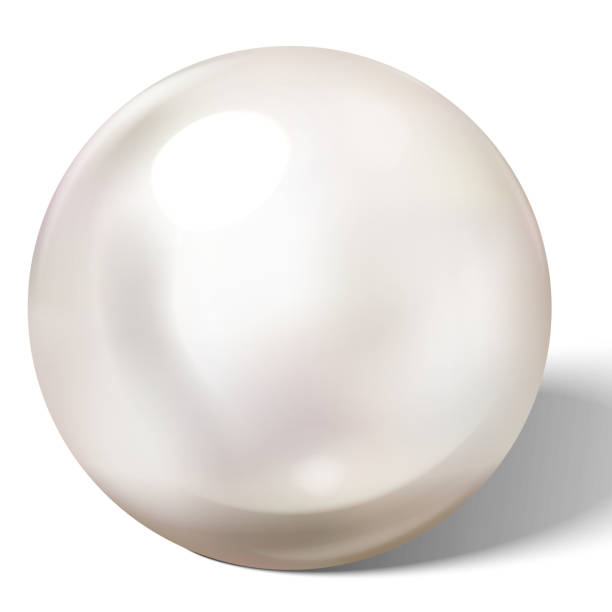 빛 효과가 있는 빛나는 천연 바다 진주 - pearl ring jewelry white stock illustrations