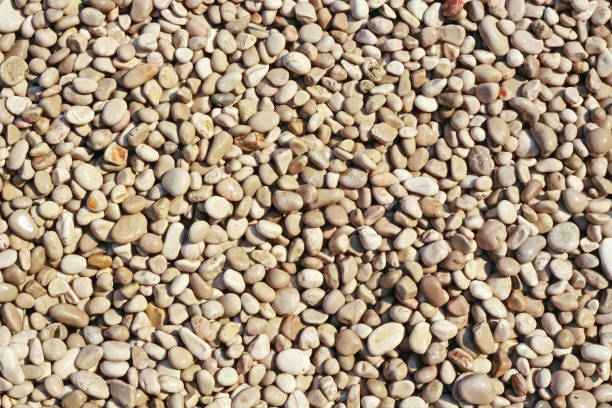 istock Background of sea pebbles. 1185944402