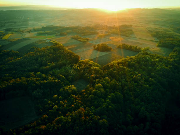 istock Green landscape at sunset 1185945179
