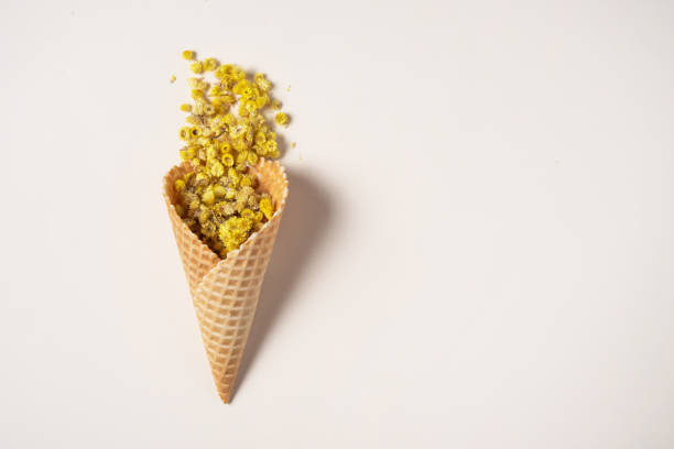 istock dry mimosa tea falls out of a waffle cone 1185947080