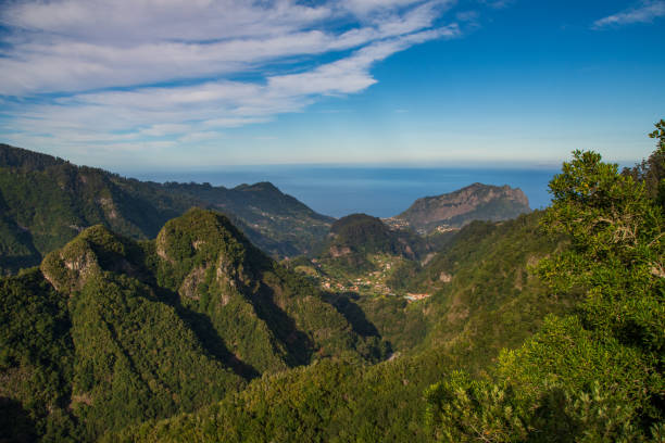istock Balcoes levada in madeira island 1185947124