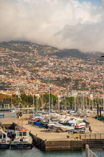 istock Funchal in madeira island 1185947225