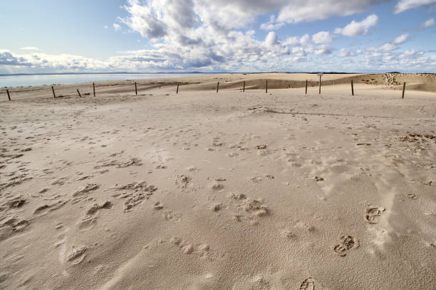 istock Dunes - Slowinski National Park - Leba - Poland 1185951925