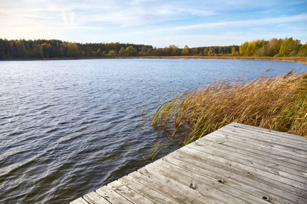 istock Lake landscape with a wooden pier. 1185951996