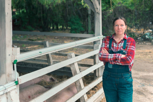 istock Farmer on pig raising and breeding farm 1185952160