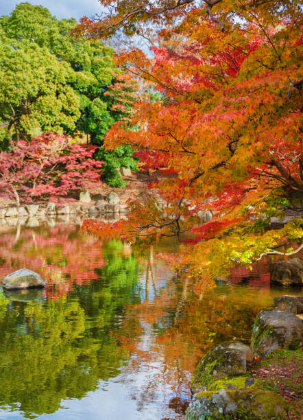 istock Autumn and Foliage in Japan 1185952795