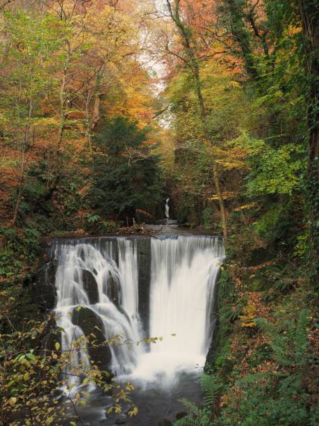 istock Alva Glen, Near Alloa, Central Scotland. 1185952851