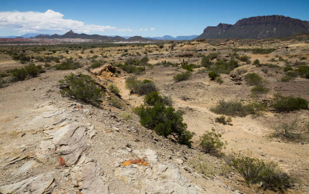 istock Stony landscape in Ischigualasto Provincial Park 1185952924