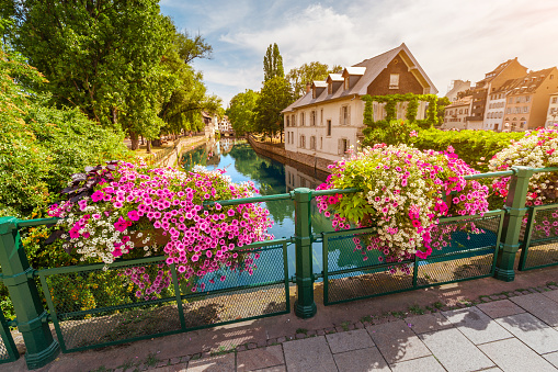 Colorful and fabulous landscape with decorative flowers and the river Ill and half-timbered houses in Strasbourg, France