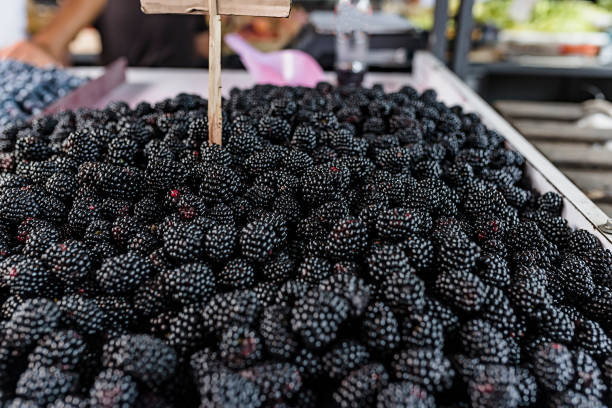 Close-up View at the Fresh and Delicious Blackberries at the Farmers Market. An Edible Fruit Produced by Many Species in the Genus Rubus in the Family Rosaceae.