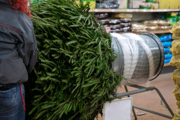 istock Saleswoman being wrapped up a Christmas tree packed in a plastic net 1185959981