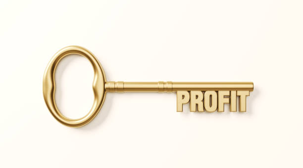 istock Bronze Profit Key on White Background 1185959985