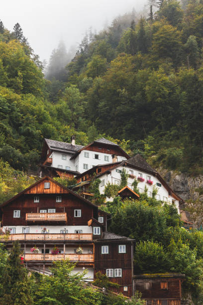 istock Rural houses among mountain trees 1185961387