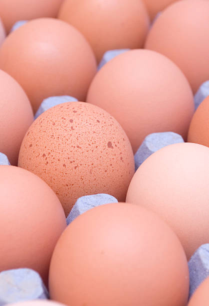 Spotted egg stock photo