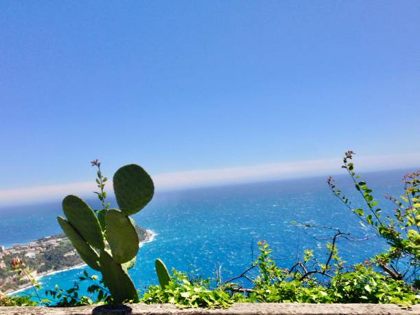istock Views of Montecarlo 1185962383
